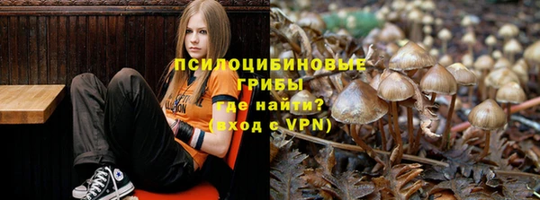 марки nbome Богданович